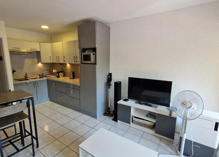 アパート Climatise Et Loggia Au Calme Avec Linge Et Parking Inclus アグド